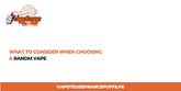What to Consider When Choosing a Randm Vape