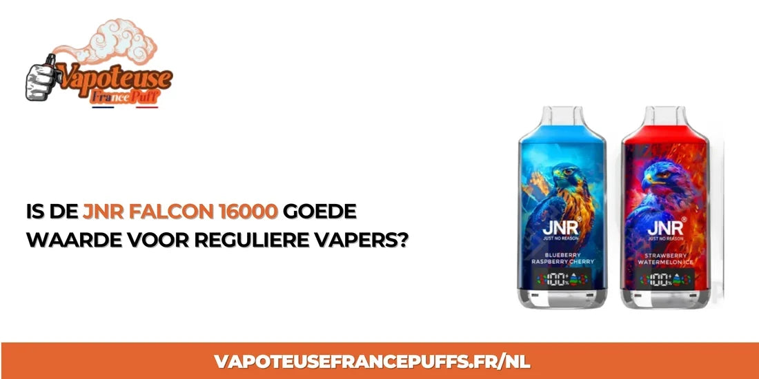 Is the JNR Falcon 16000 Good Value for Regular Vapers?