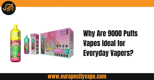Why Are 9000 Puffs Vapes Ideal for Everyday Vapers?