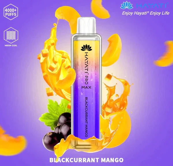 Hayati Pro Max 4000 Puffs