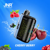 JNR Plus X 26000 Puffs Disposable Vape (Box of 10)