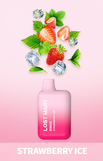 Lost Mary BM600 Puffs Disposable Vape Box Of 10